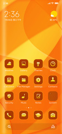 texture orange