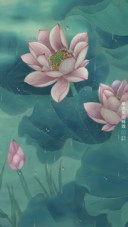 荷花雨露
