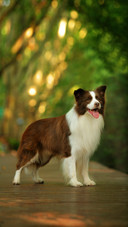shutterstock_43418059