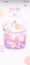 Summer of pet