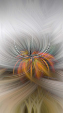 Color line19