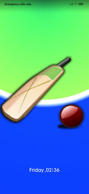 Bowled_Cricket