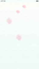 似有花语