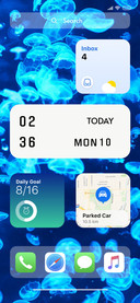 iOS 12 (5)