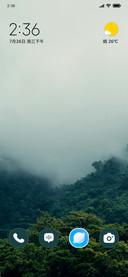 Silent Forests