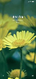 护眼小黄花