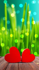 khm heart