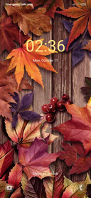 Autumn scenery