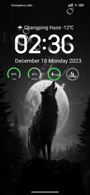 Wolf