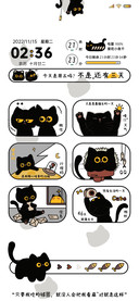A16灵动小黑猫