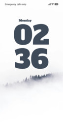 Mist