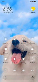 Angel Dog