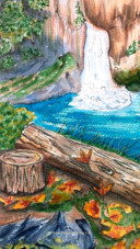 forest landscape