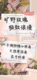 旷野玫瑰极致浪漫