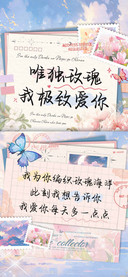 唯独玫瑰我极致爱你