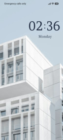 Ivory Block