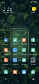 Green Soccer Field