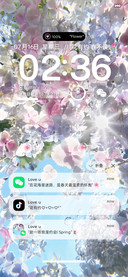 丁达尔 花海有约