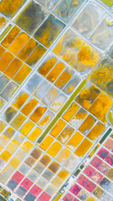 A colorful collage of the earth