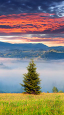 Scenery   (14)