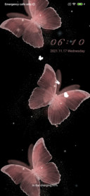 Butterfly dream