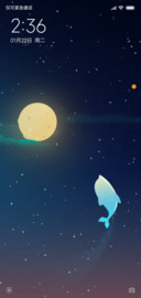 夜の海豚
