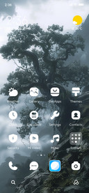 ancient tree