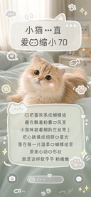 小猫一直爱我缩小70