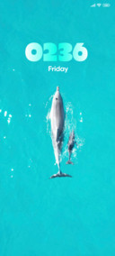 Ocean Grace
