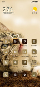 Purrfect Moments