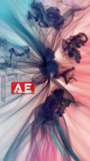 AE染色体