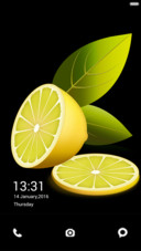  IN lemon