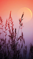 Simple and beautiful wallpapers