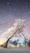 Winter starry sky in scenic area