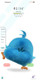 Angry Bird Dynamic