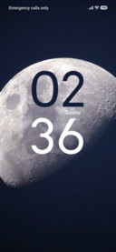 Luna Night