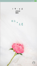 纯白之恋