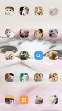 折耳猫 萌宠可爱