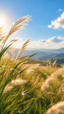Serene Meadow
