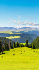 Kalajun Grassland Landscape in Xinjiang, China