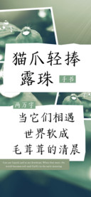 猫爪轻捧露珠