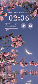 简约 夜樱