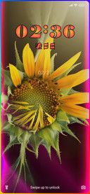 Sunflower Bright