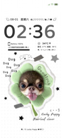 ins风撕纸幸运小狗
