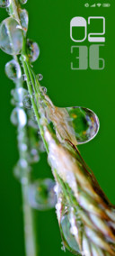 Wet Drops