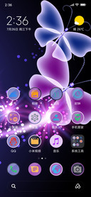 Butterly_DWM19