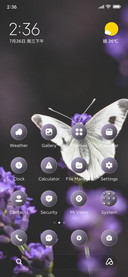 Purple Butterfly