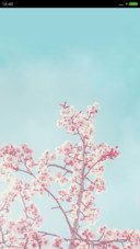花香（下载送好礼）