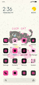 Colorful Cat