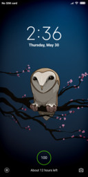 NightOwl_DWM19